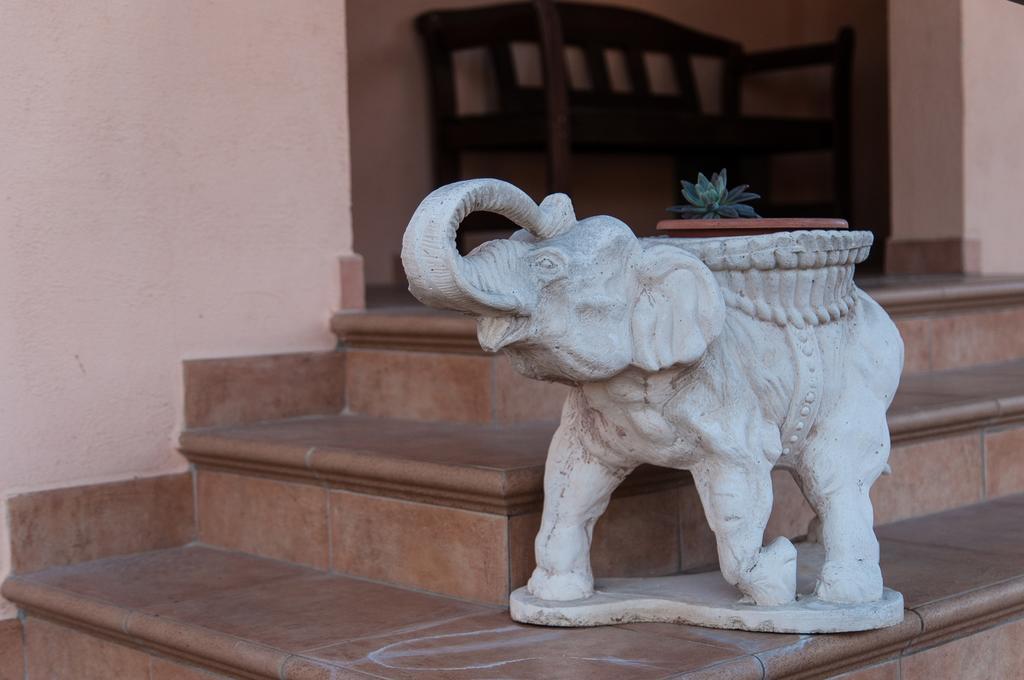 B&B L'Orizzonte Civitavecchia Eksteriør billede